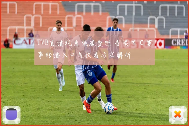 TVB直播观看渠道整理 香港节目赛事转播入口与收看方式解析